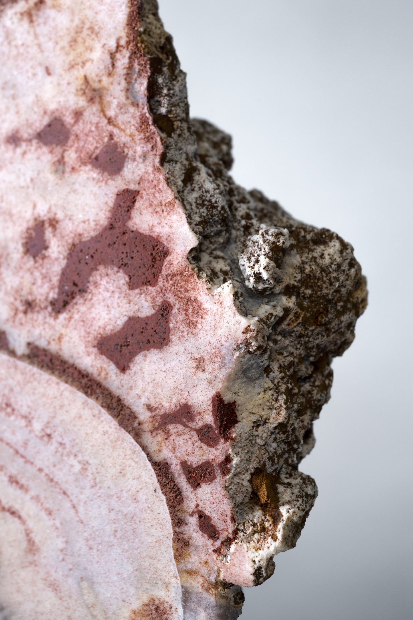 "A" Grade Rose Quartz on Stand | Brazil