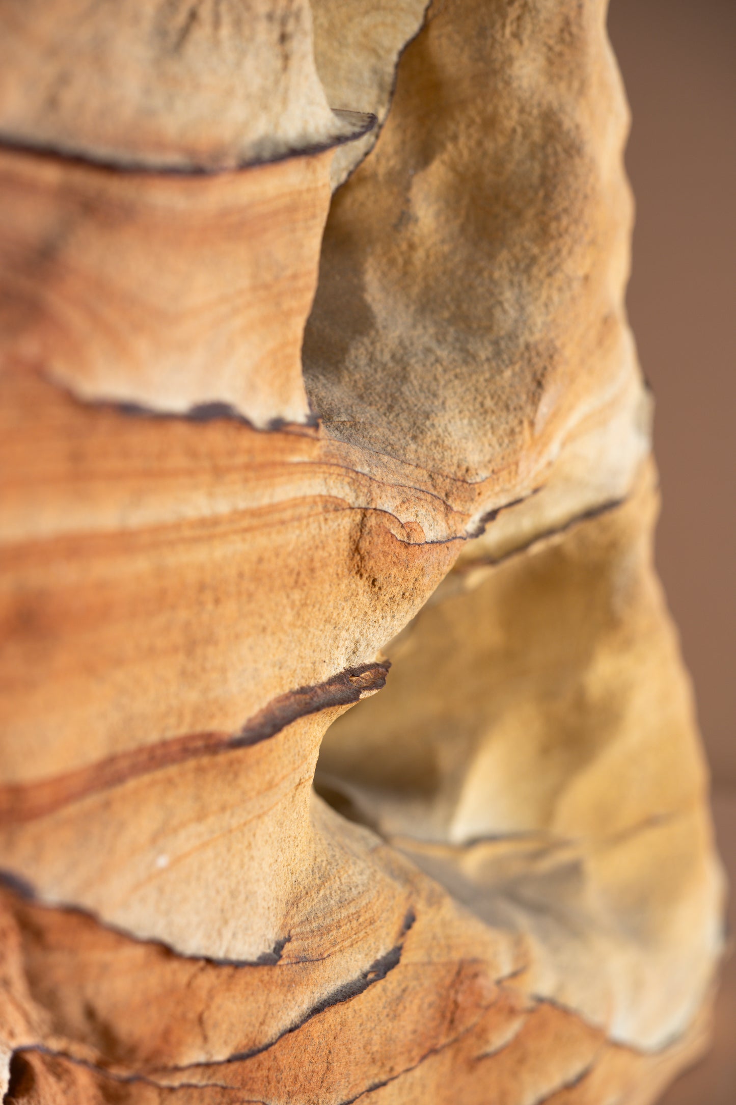 Wonderstone Sandstone | Utah, USA