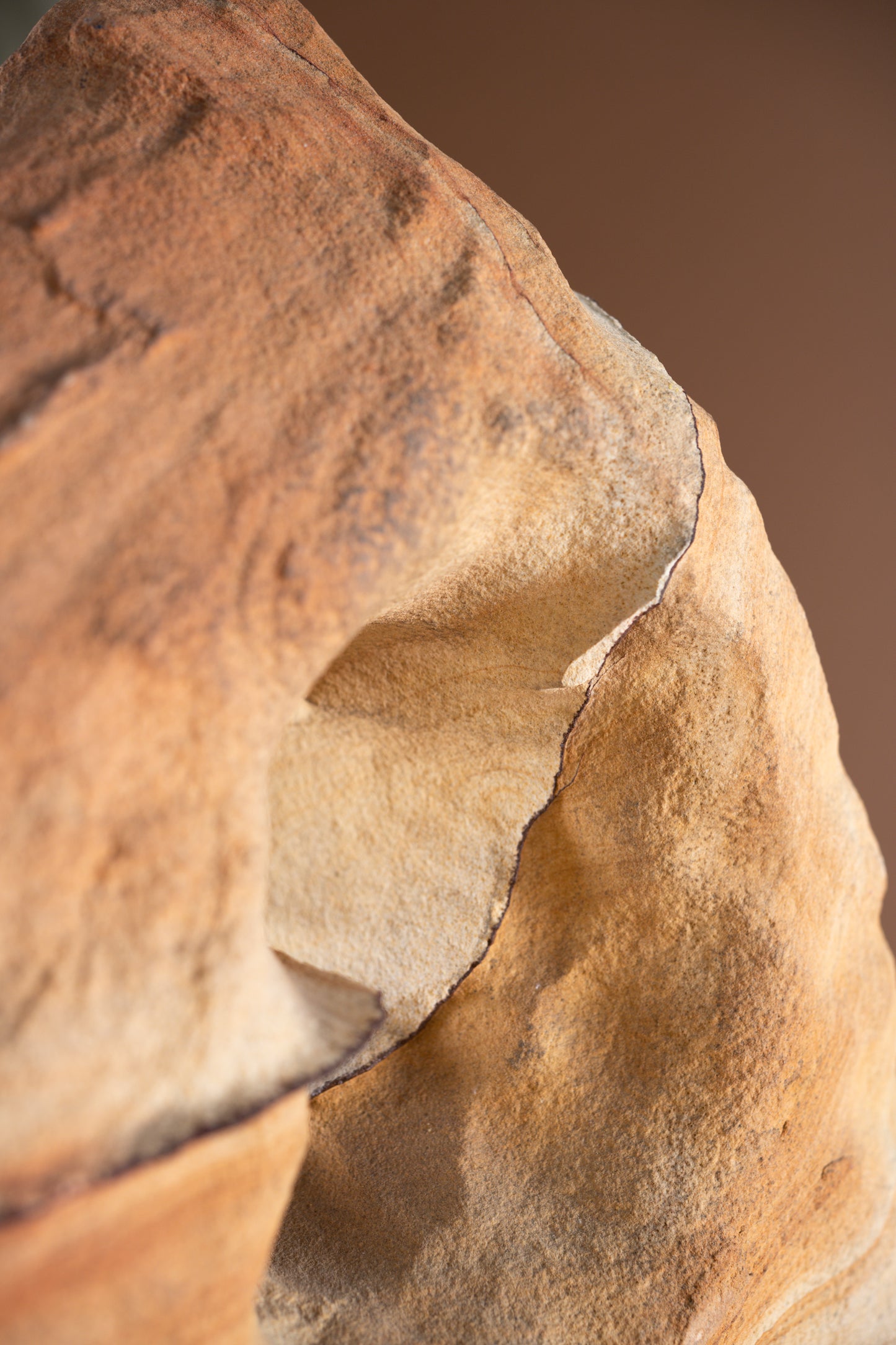 Wonderstone Sandstone | Utah, USA