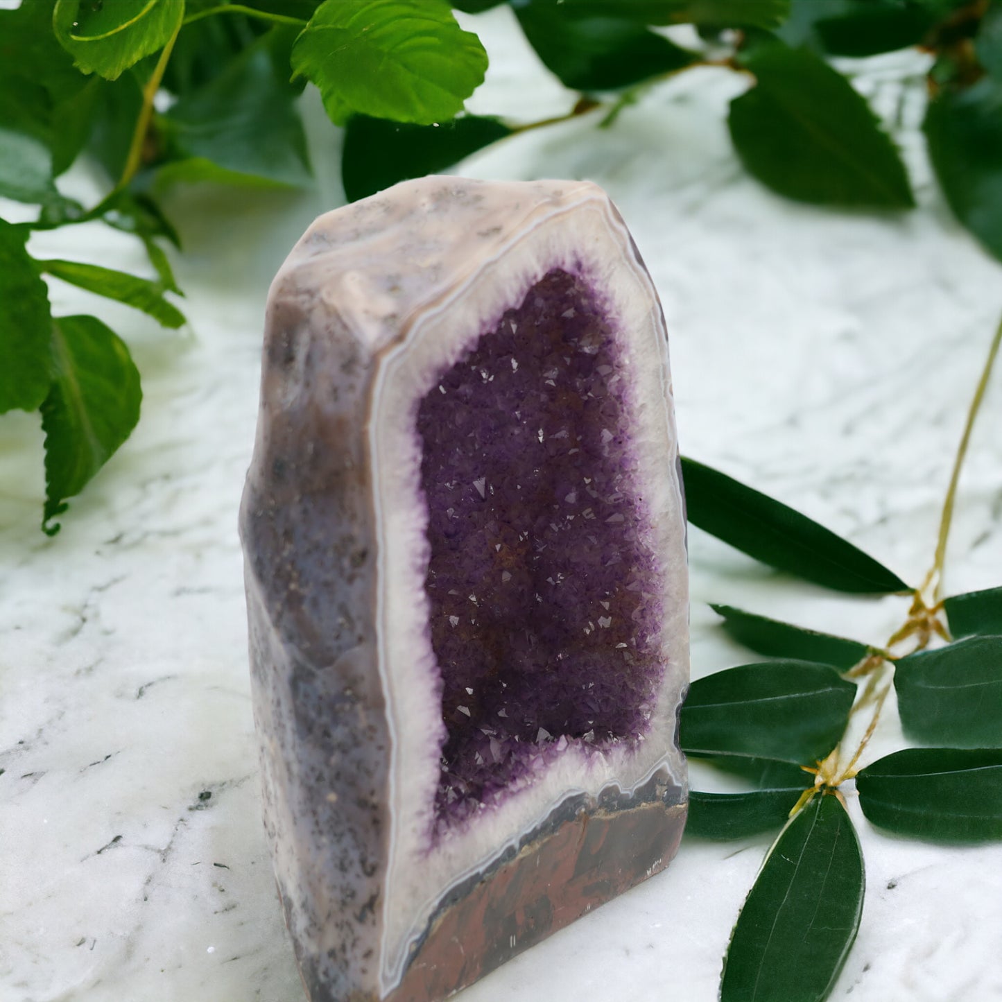 Amethyst Druse | Brasilien