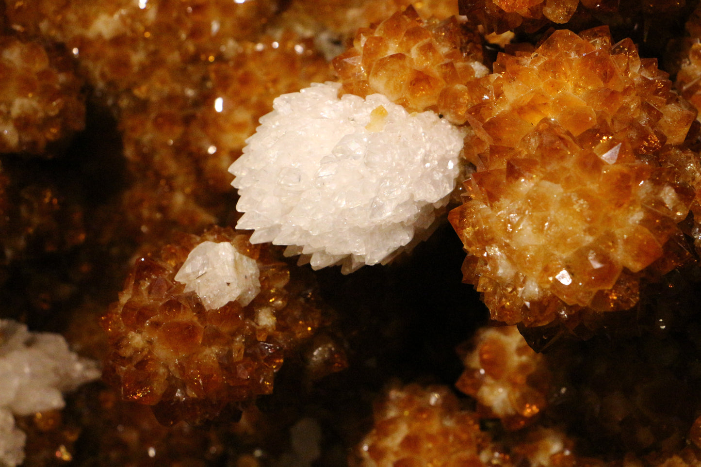 Citrin Stalaktit Geode | Brasilien