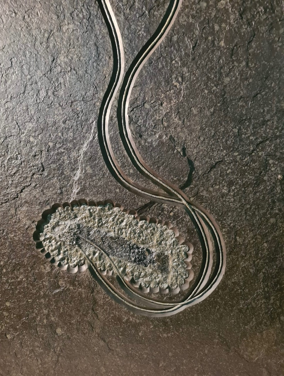 Seelilie seirocrinus subangularis | Holzmaden, Deutschland