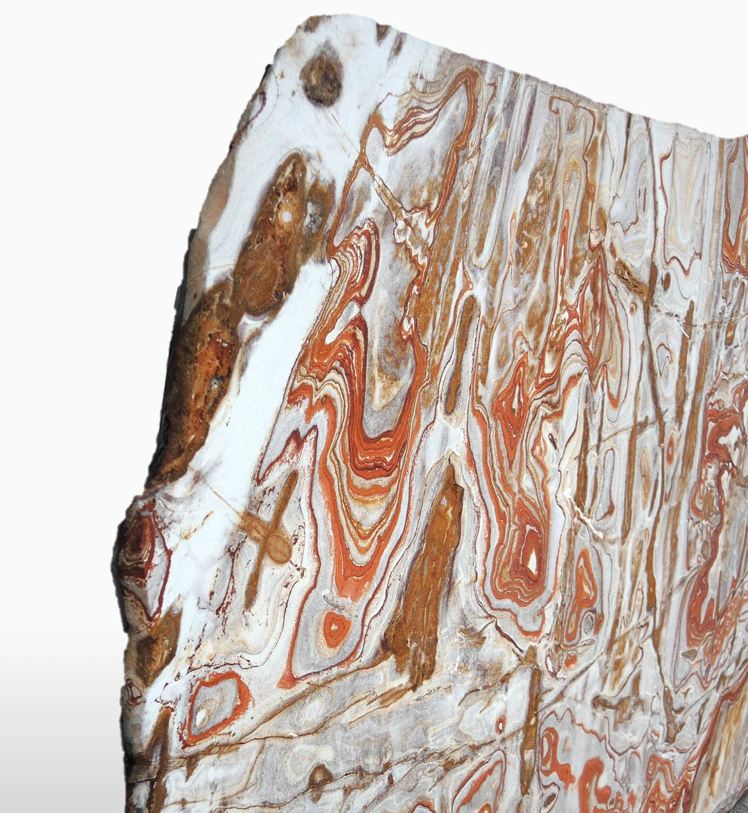 'Wonderstone' Rhyolith Sandsteinplatte | Utah, USA