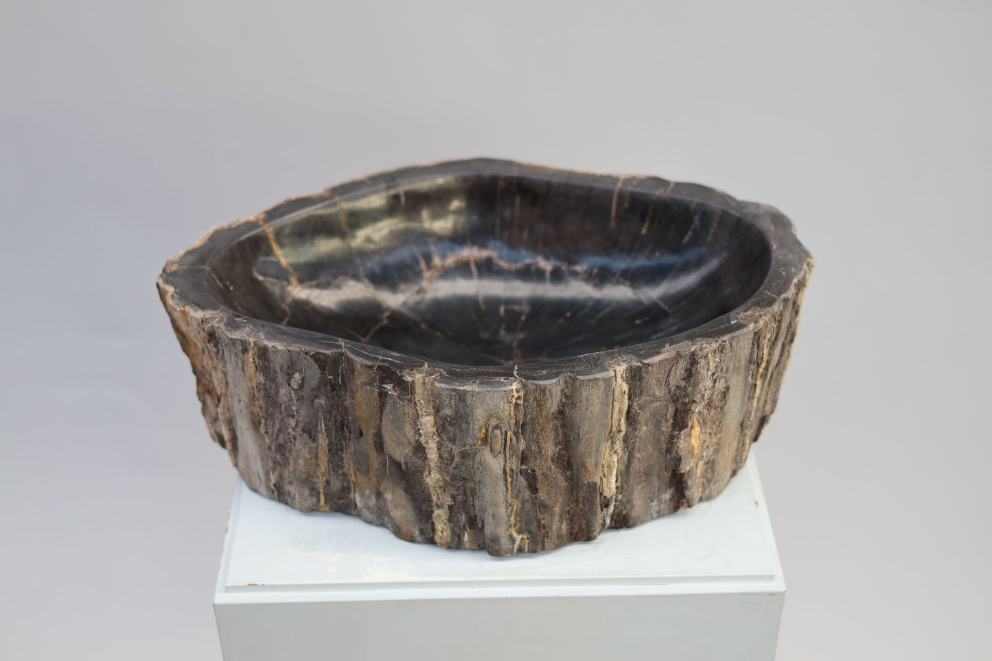 Petrified wood bowl | Indonesia