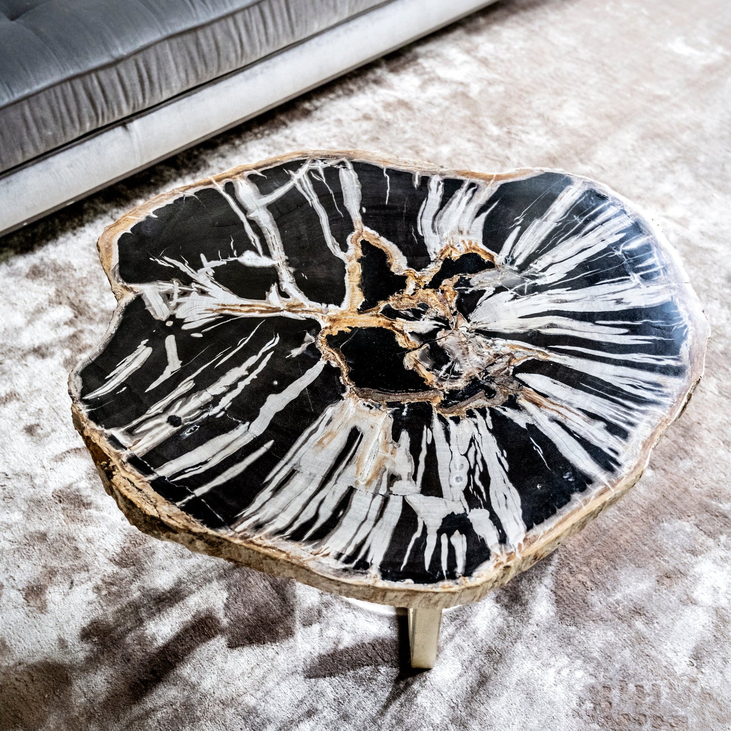 Petrified Wood Table | Indonesia