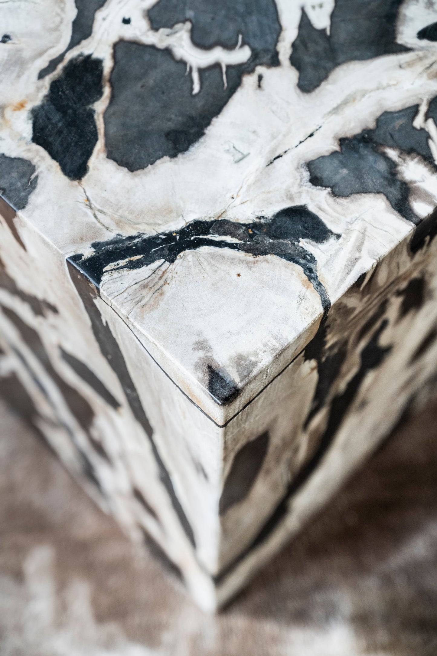 Bloc de bois pétrifié | Indonésie