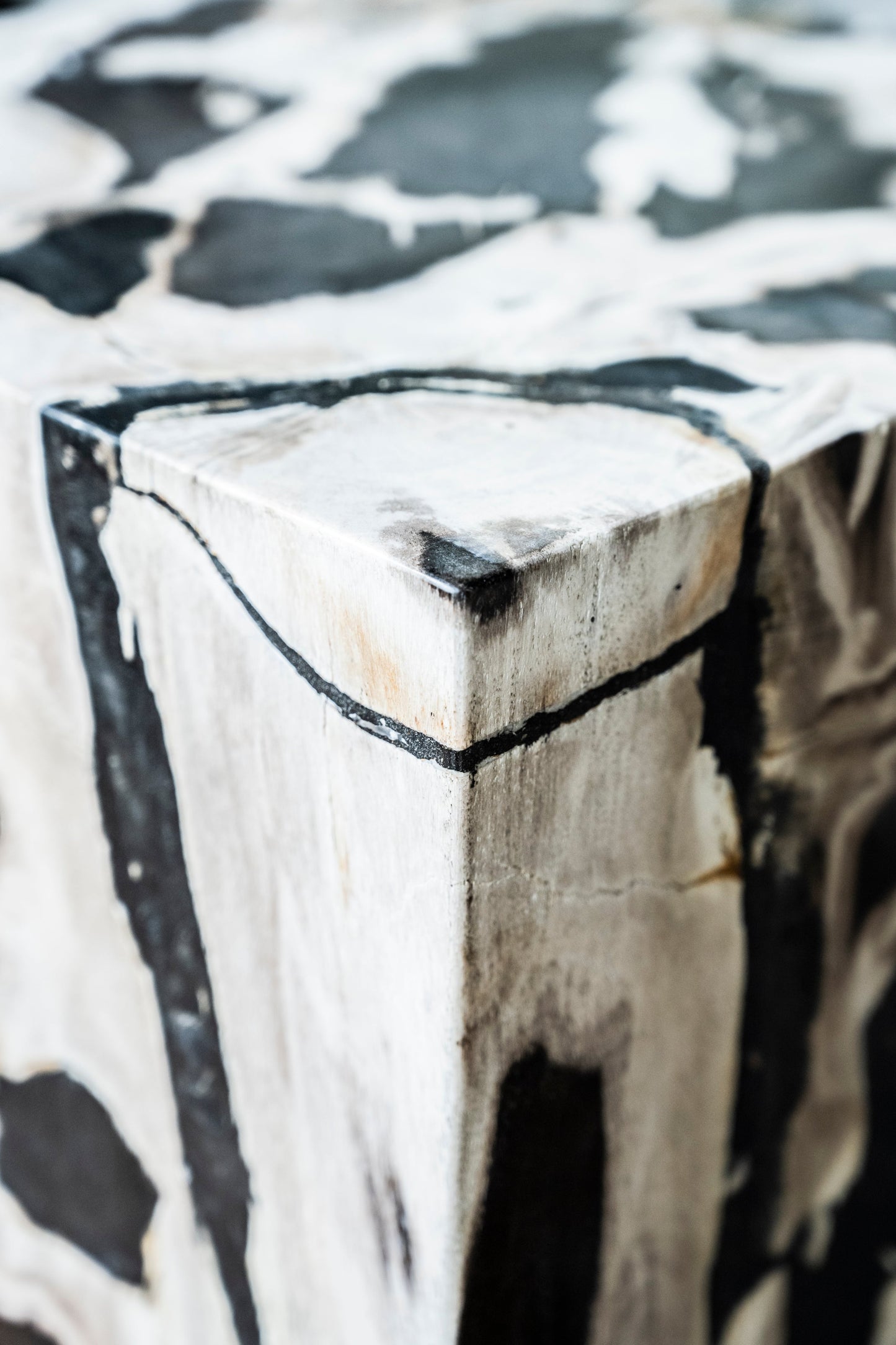 Bloc de bois pétrifié | Indonésie