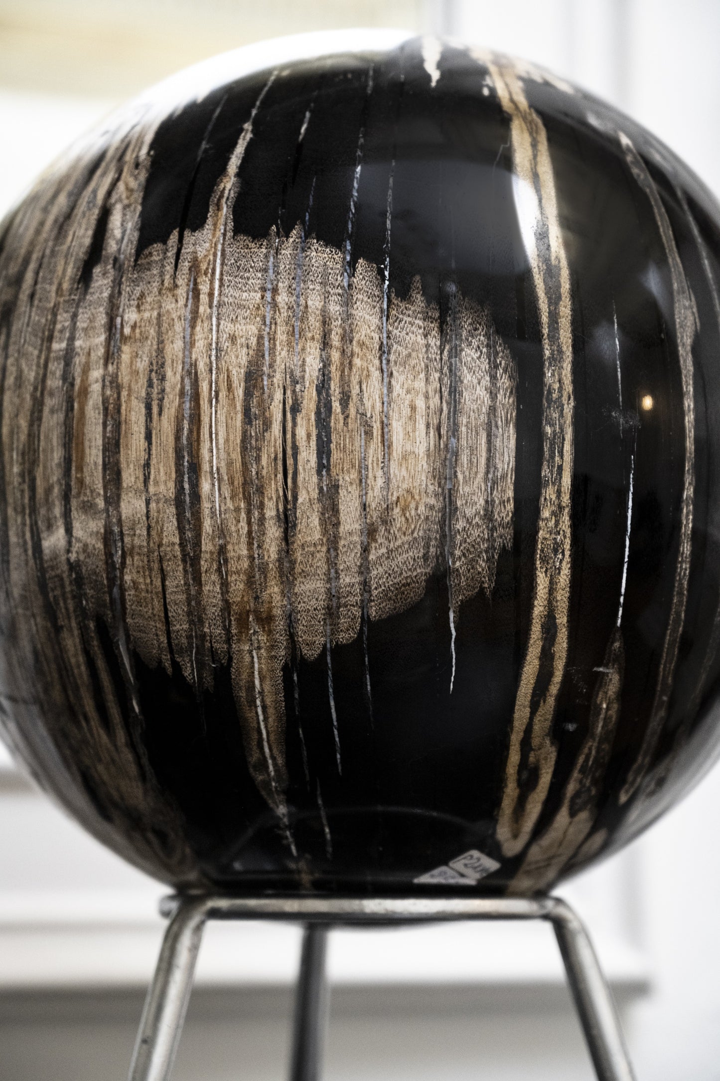Petrified Wood Sphere | Indonesia