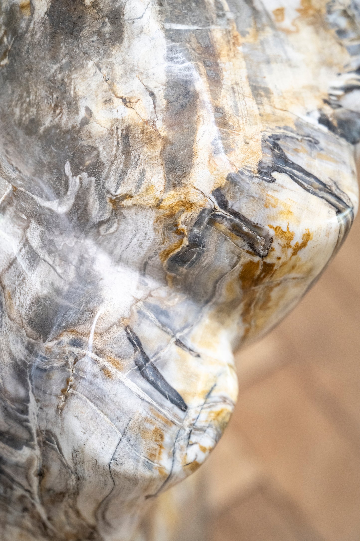 Petrified wood trunk