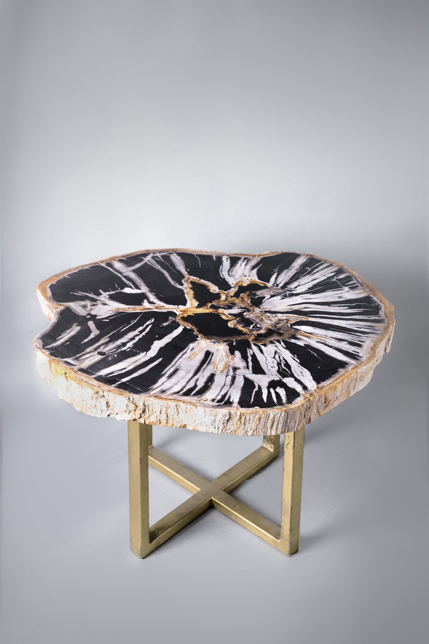 Petrified Wood Table | Indonesia