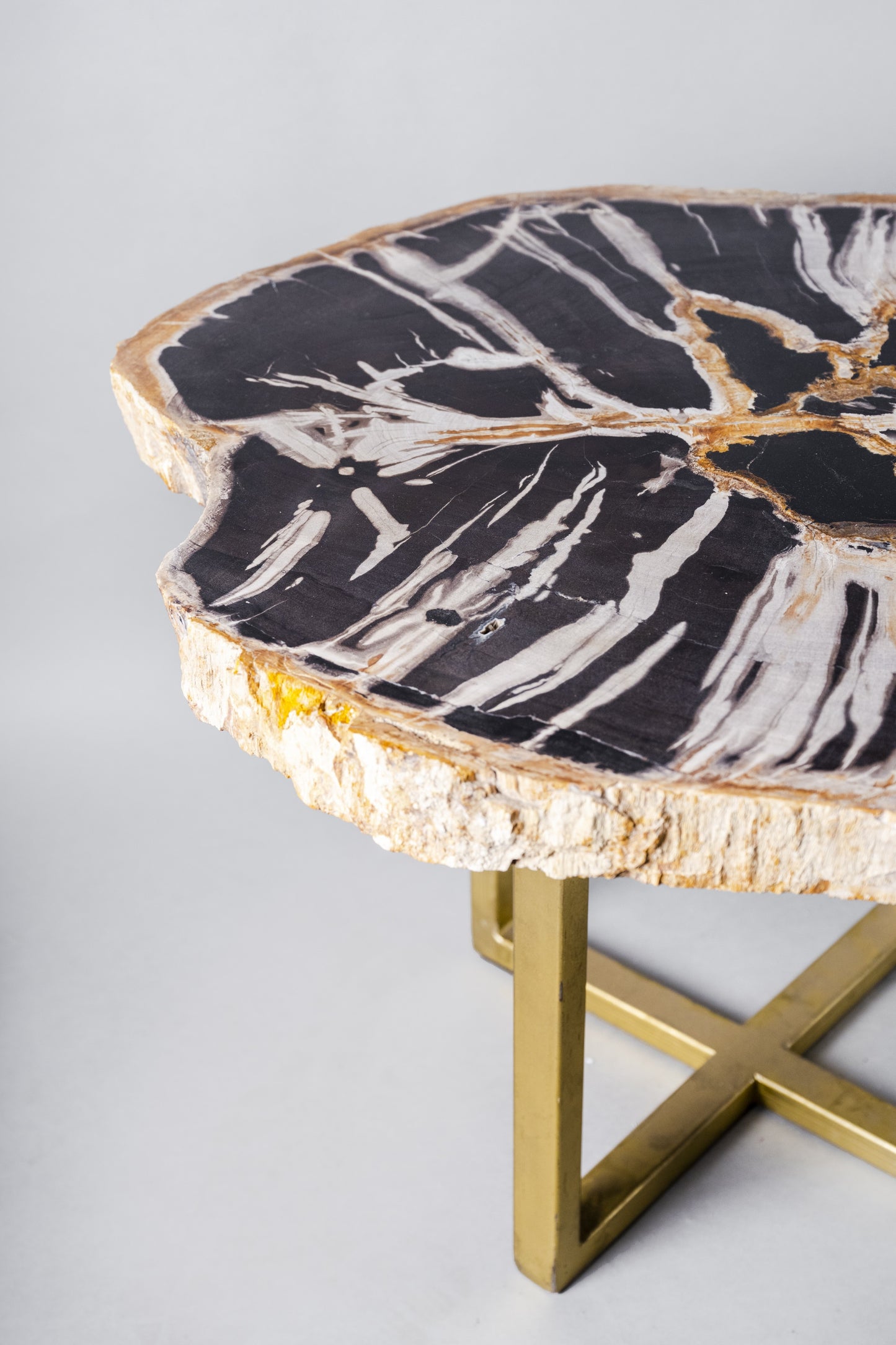 Petrified Wood Table | Indonesia