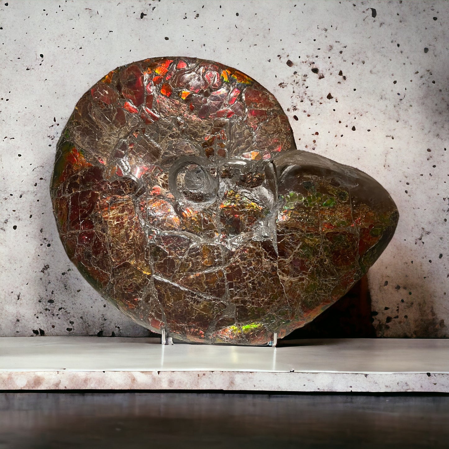Ammolite opalescente | Canada