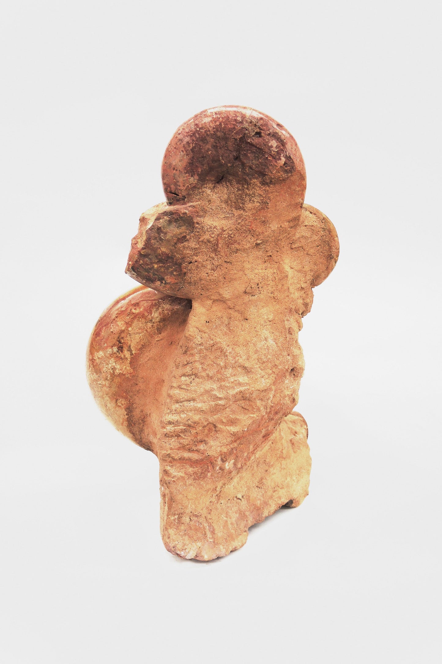 Groupe ammonite | Lytoceras sp. | France