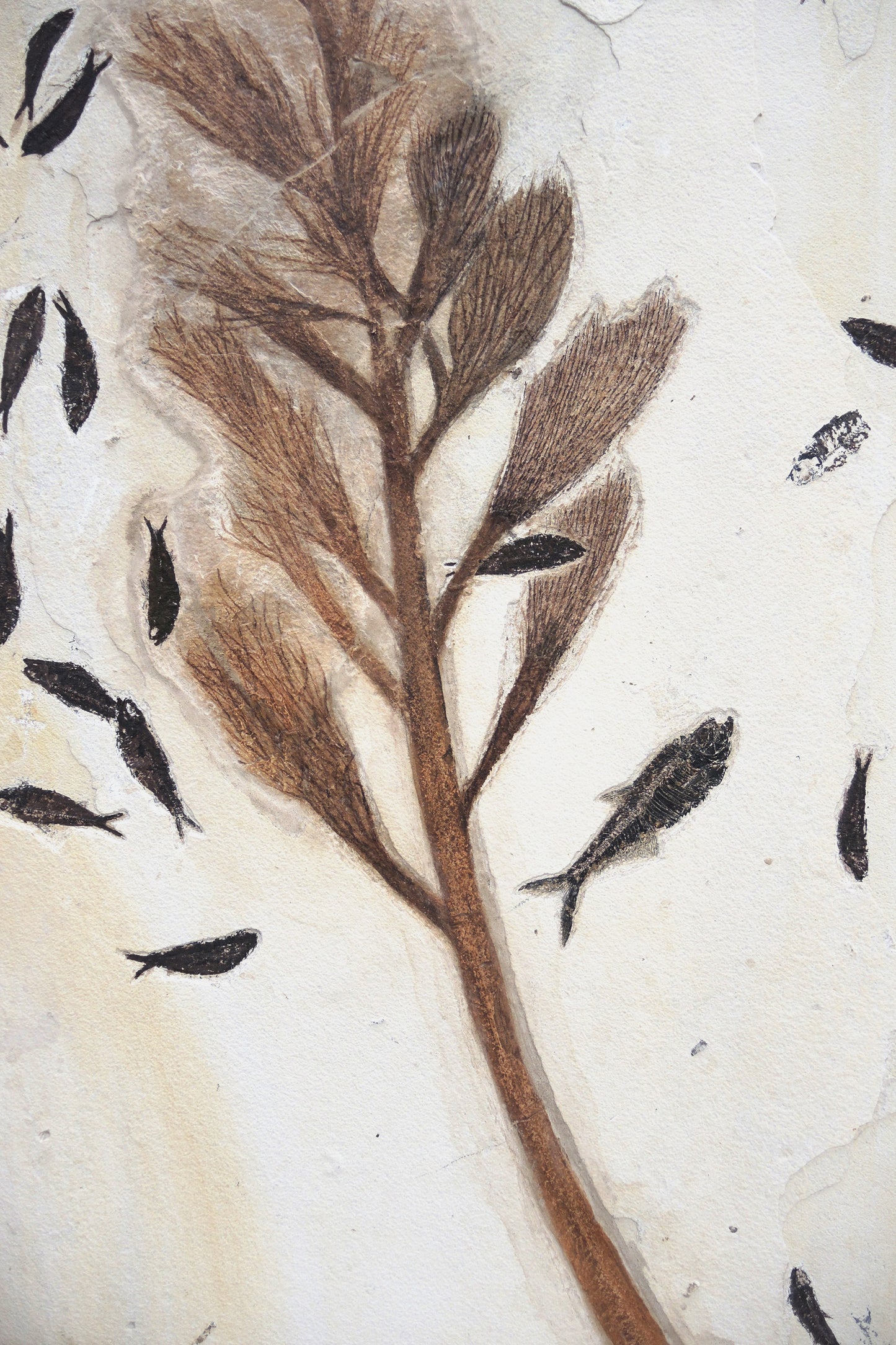 Fossilized palm blossom &amp; fish fossils | Green River, Wyoming, USA