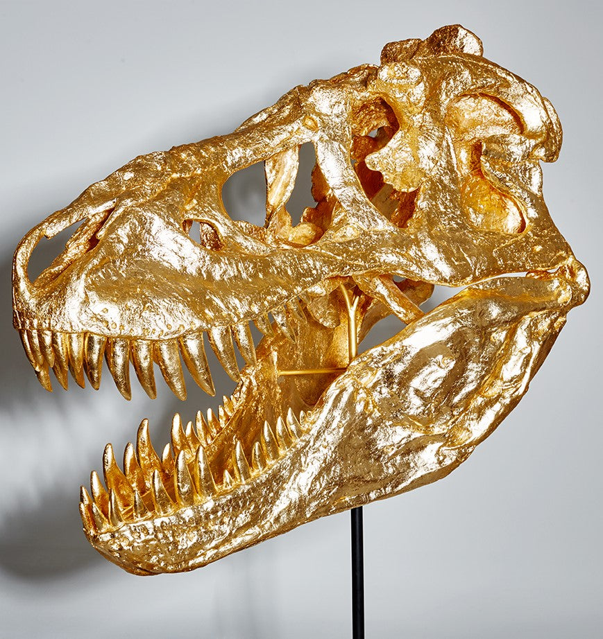 Goldener T-Rex-Schädel Abguss | Handgefertigt in Deutschland