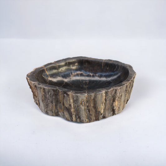 Petrified wood bowl | Indonesia