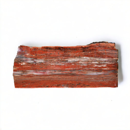 PRICE ON REQUEST | Petrified Wood Longitudinal Araucarioxylon arizonicum | Arizona, USA