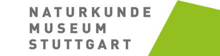 Logo des Naturkundemuseums Stuttgart, Partner des Urweltsteinbruchs | Fossilien & Mineralien | Steinbruch, Museum & Shop