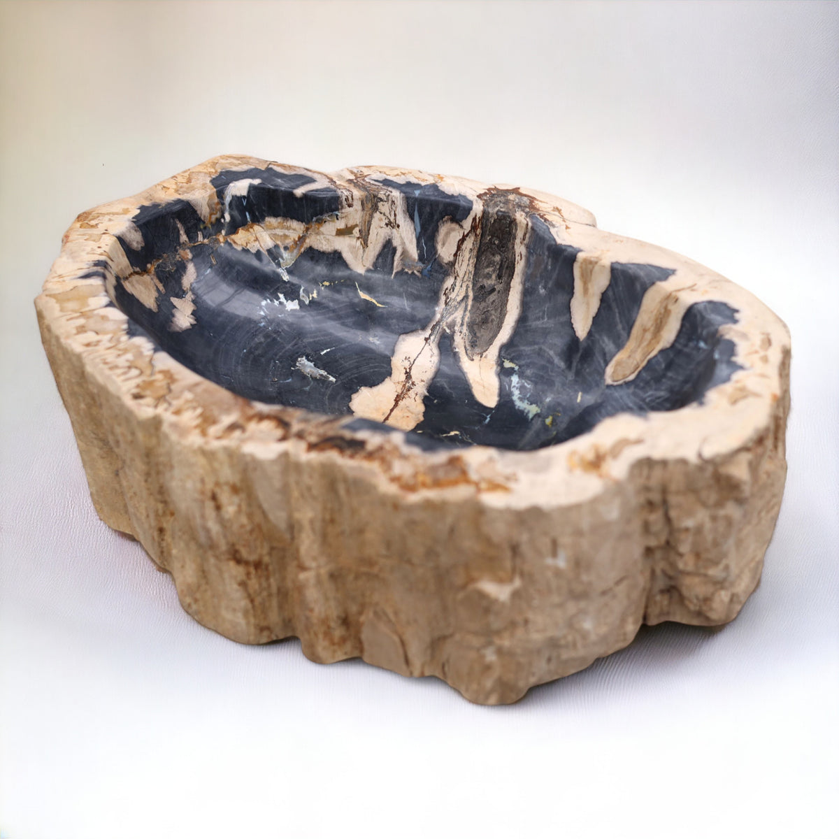Schale aus versteinertem Holz