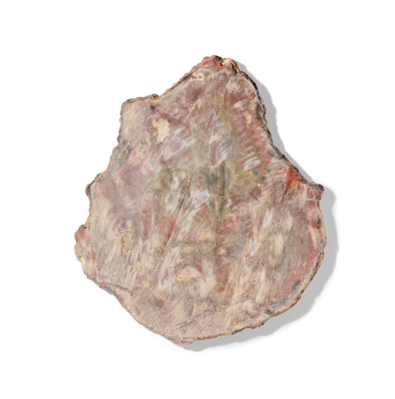 SOLD | Versteinerte Holzplatte | Arizona, USA