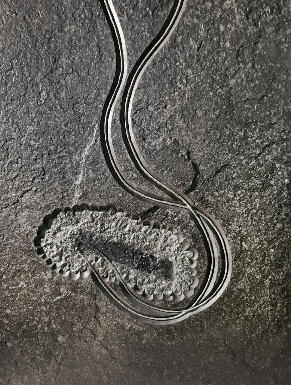 Seelilie seirocrinus subangularis | Holzmaden, Deutschland
